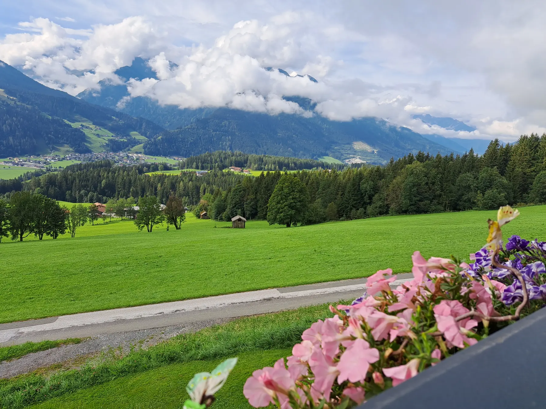 schöne Aussicht